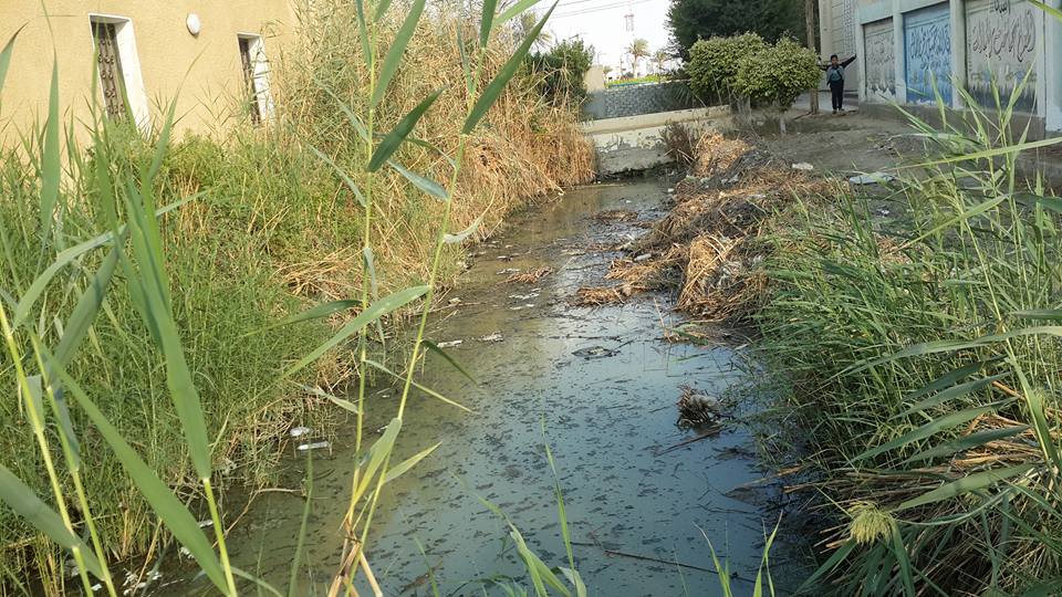 7- القمامة والمياه الجوفية تحاصر  قرية فنارة