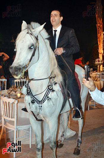     أحمد السقا يقتح الحفل بالحصان