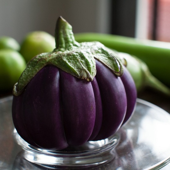 eggplant-thailand-failed-variety-history