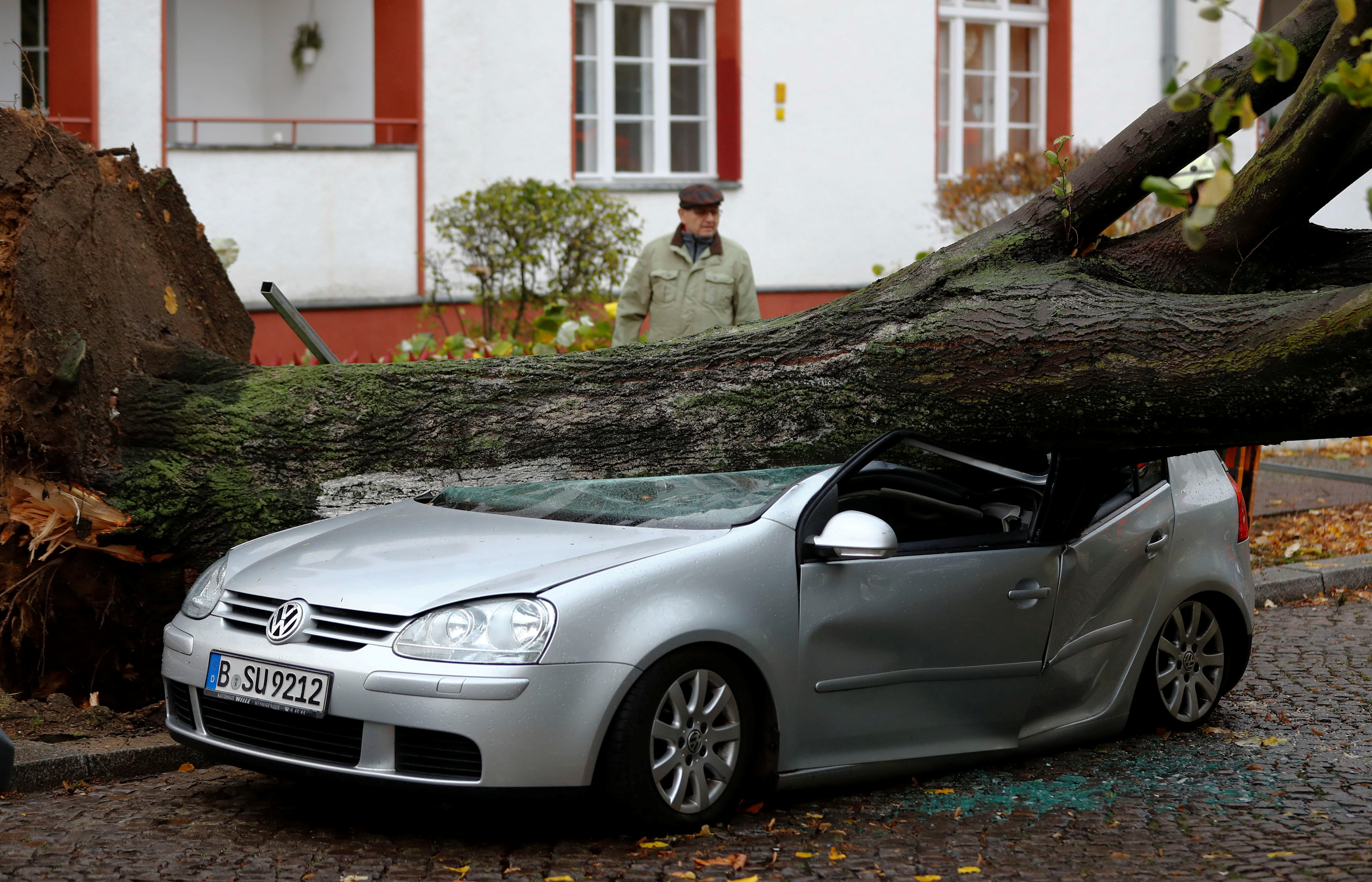 رجل ينظر إلى شجرة ضخمة حطمت سيارة بسبب عاصفة
