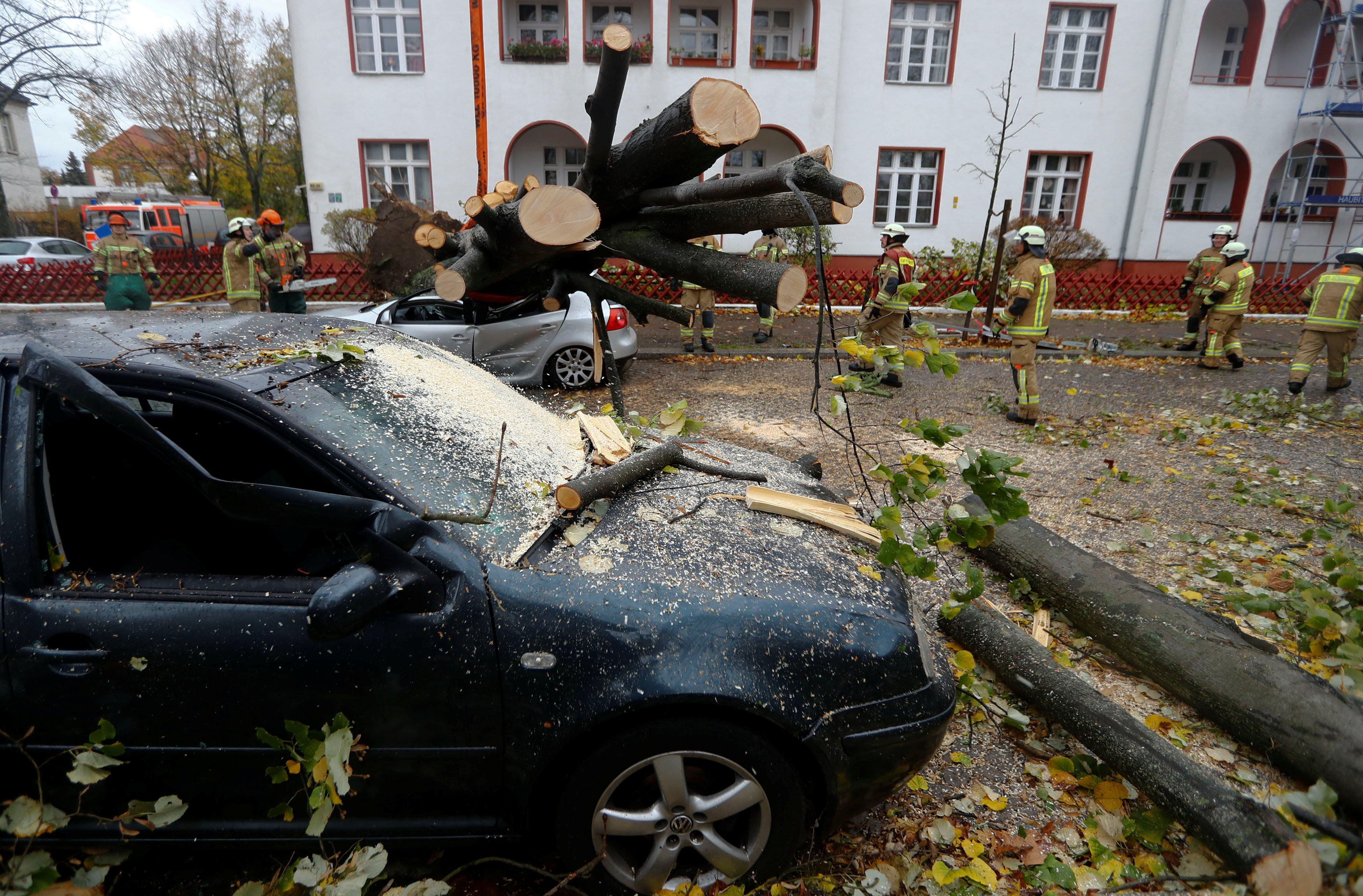 إزالة أشجار ضخمة تساقطت بسبب العاصفة هيروارت