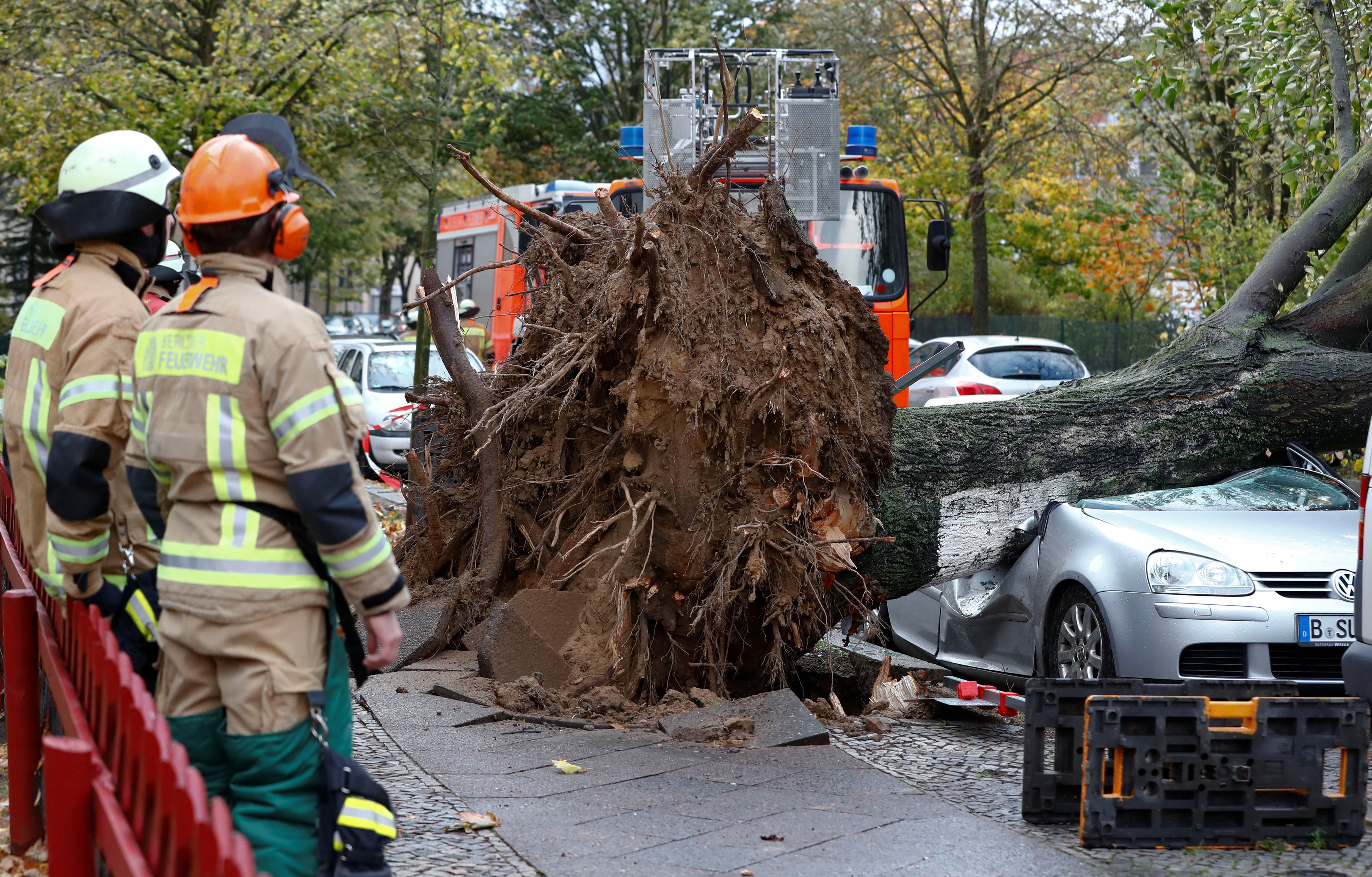 وصول فرق الإنقاذ لموقع سقوط أشجار بسبب العاصفة هيروارت