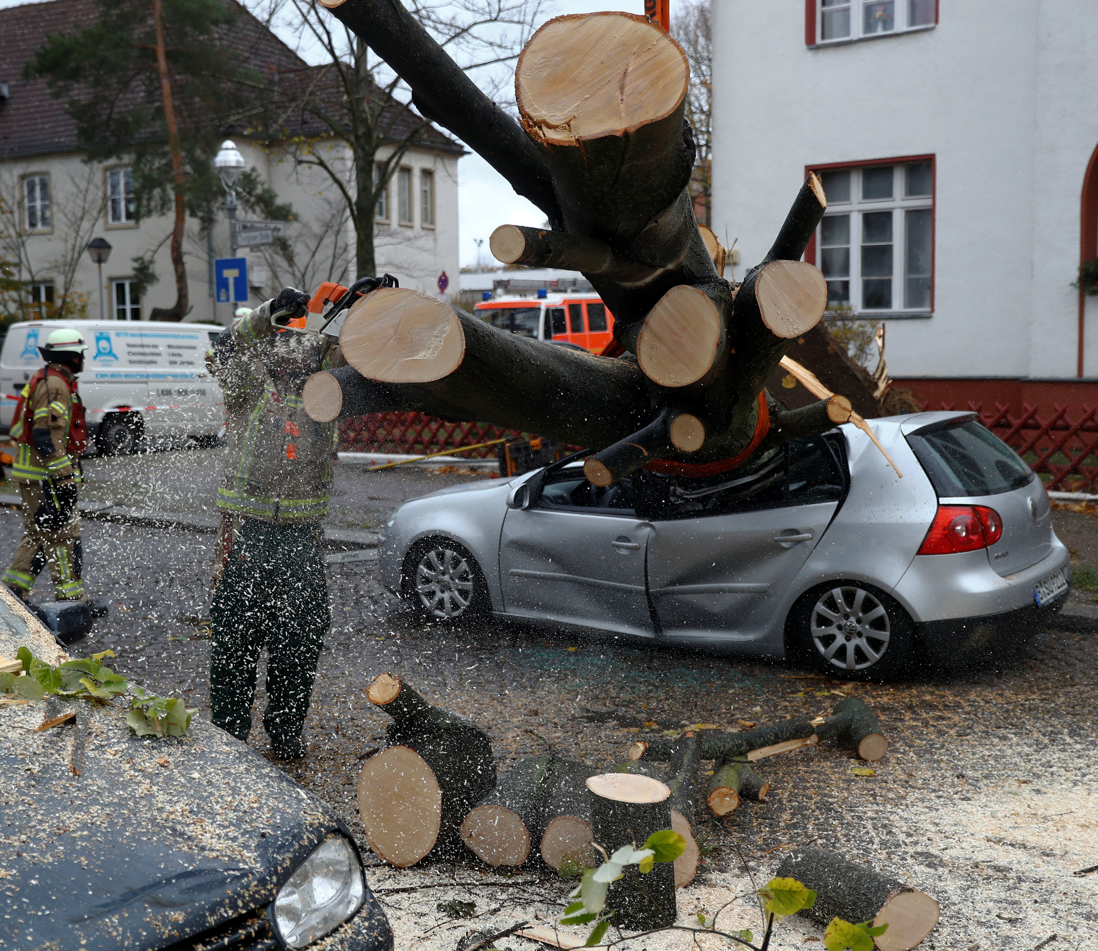 استخدام المناشير الآلية لتقطيع الأشجار المتساقطة فى برلين