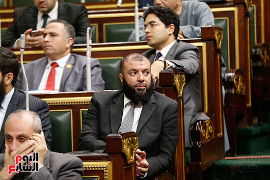 مجلس النواب البرلمان (8)