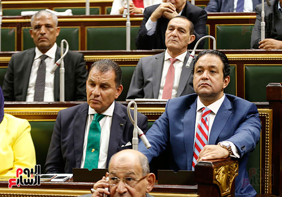 مجلس النواب البرلمان (7)