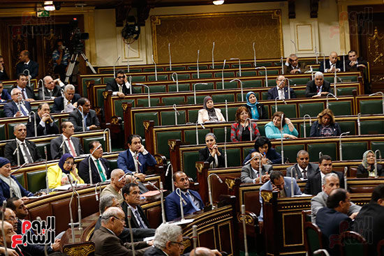 مجلس النواب البرلمان (2)