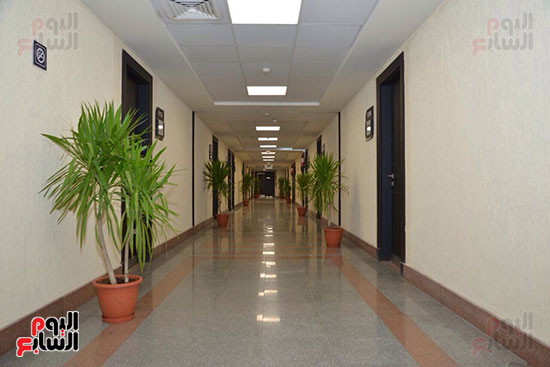 افتتاح مطار سفنكس (3)