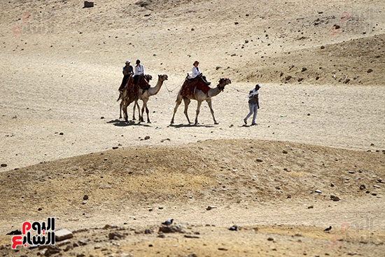  سائحون يركبون الجمال فى صحراء الهرم