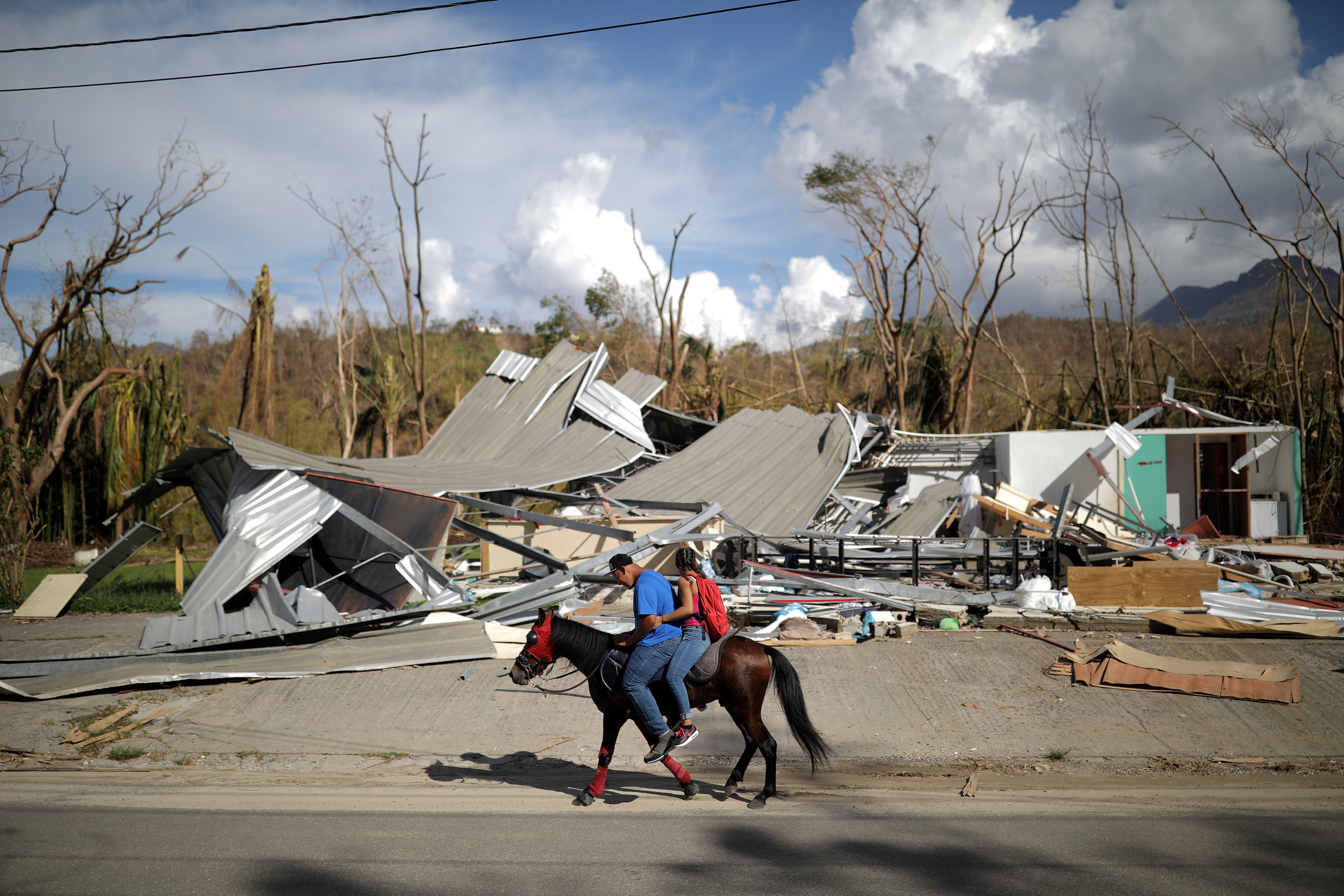 شخصان فوق حصان فى الإعصار فى بورتوريكو