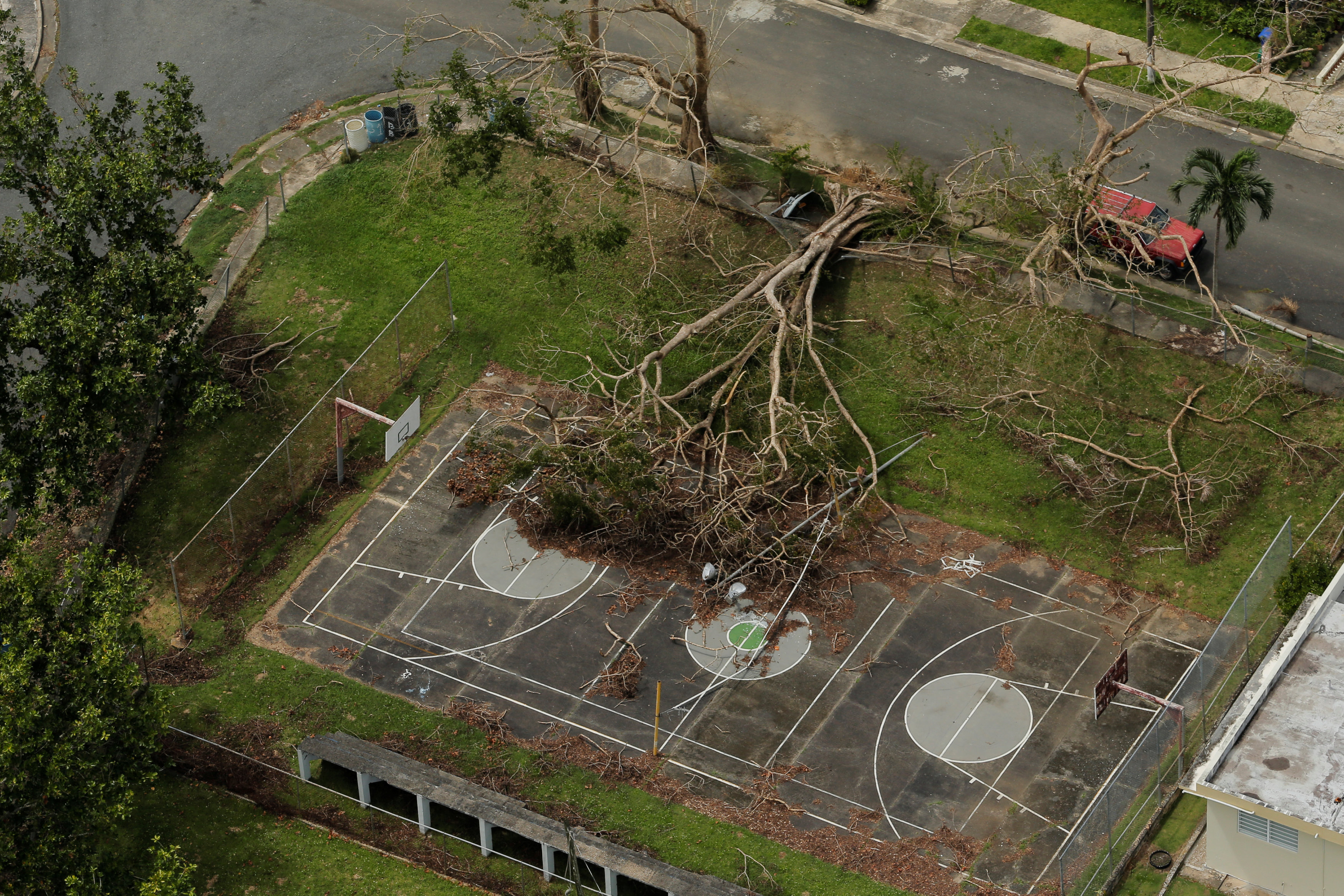 سقوط شجرة فى ملعب جراء الإعصار ماريا فى بورتوريكو