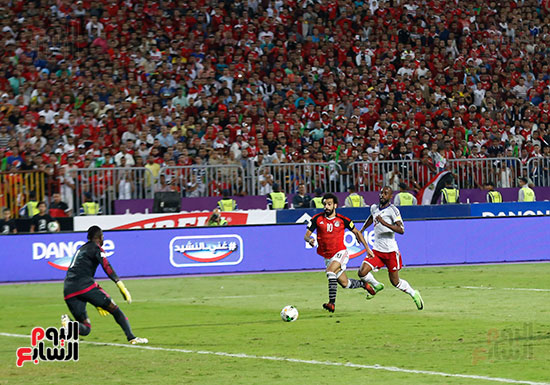 فرحة الفوز بمباراه مصر والكونغو (16)