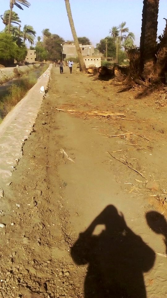 رفع 35 طن تراكمات وأتربة ونظافة شوارع بمدينة طهطا (2)