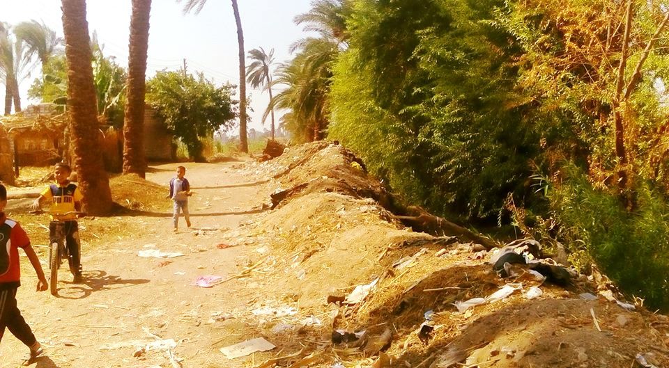 رفع 35 طن تراكمات وأتربة ونظافة شوارع بمدينة طهطا (7)