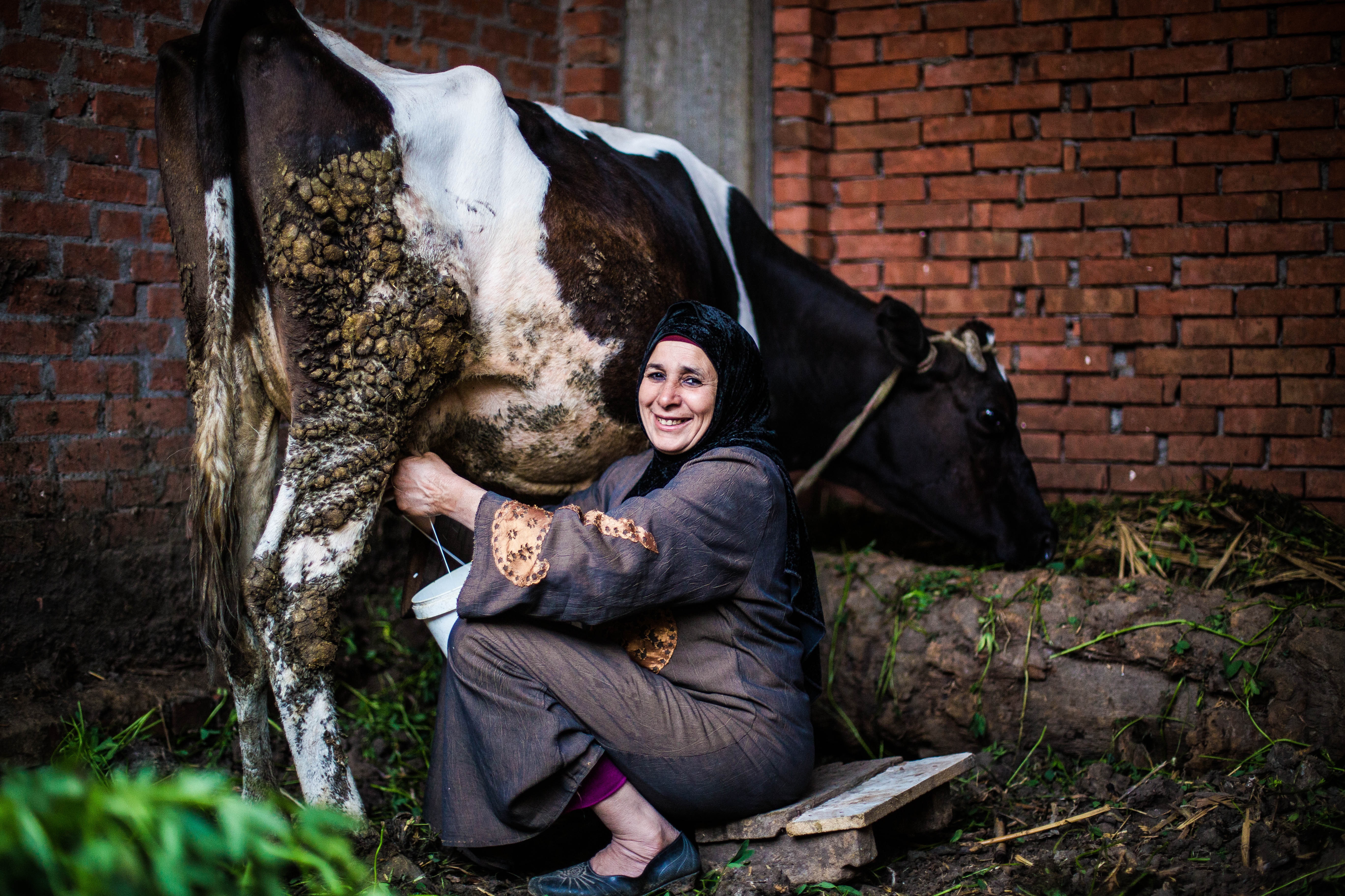 محمد الحصرى