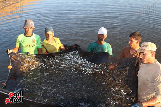 الصيادون سعداء بالأسماك من إنتاج المشروع