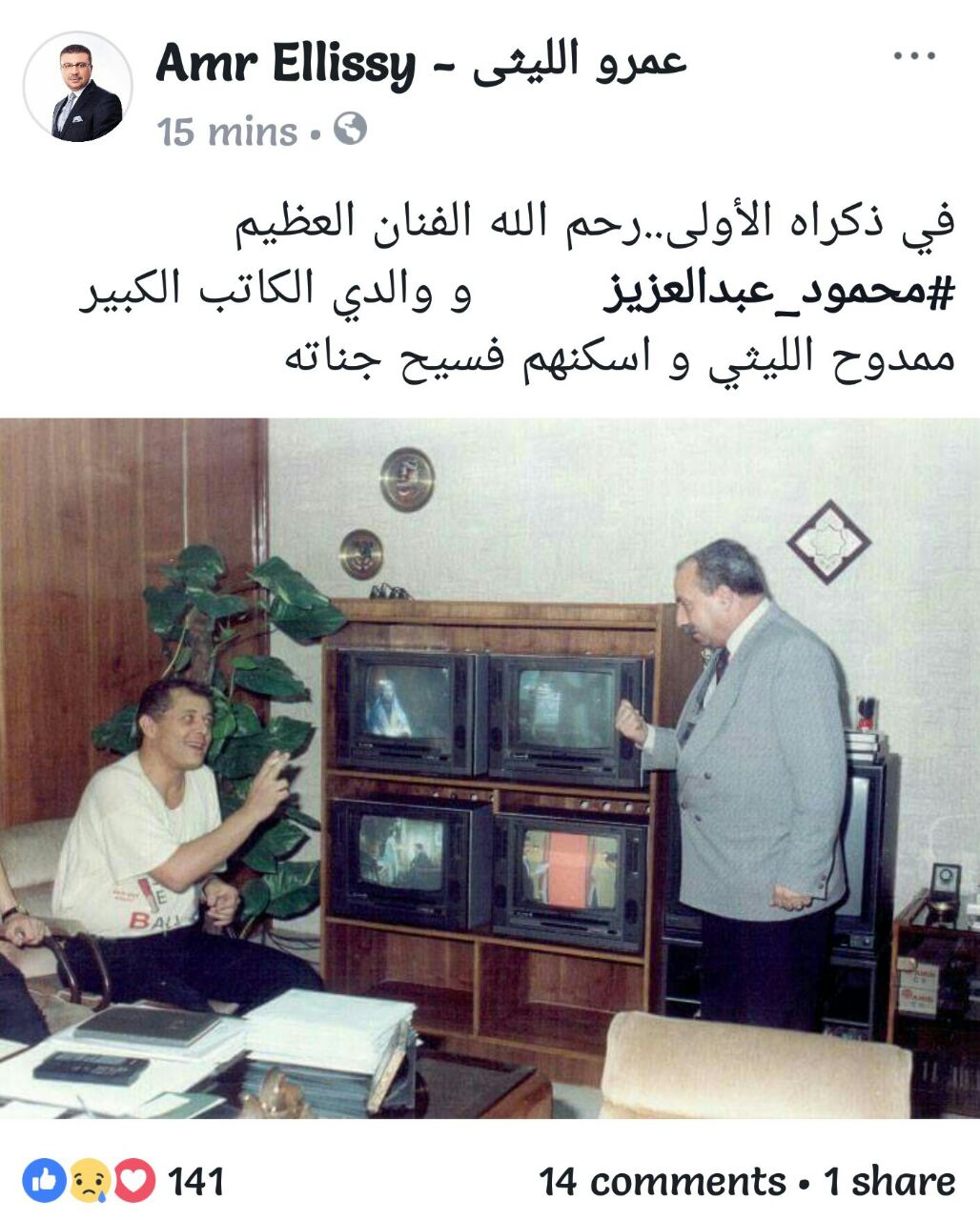 محمود عبد العزيز وممدوح الليثى