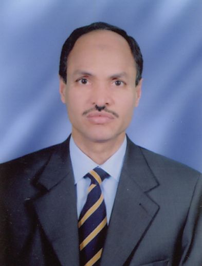 المهندس محمد محمود رئيس الإدارة المركزية للمشروعات