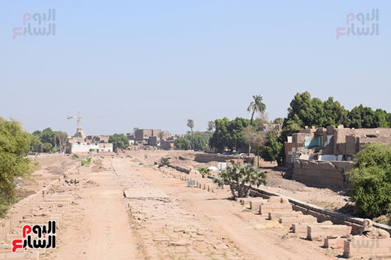 طريق الكباش فى مدخل منطقة نجع أبو عصبة