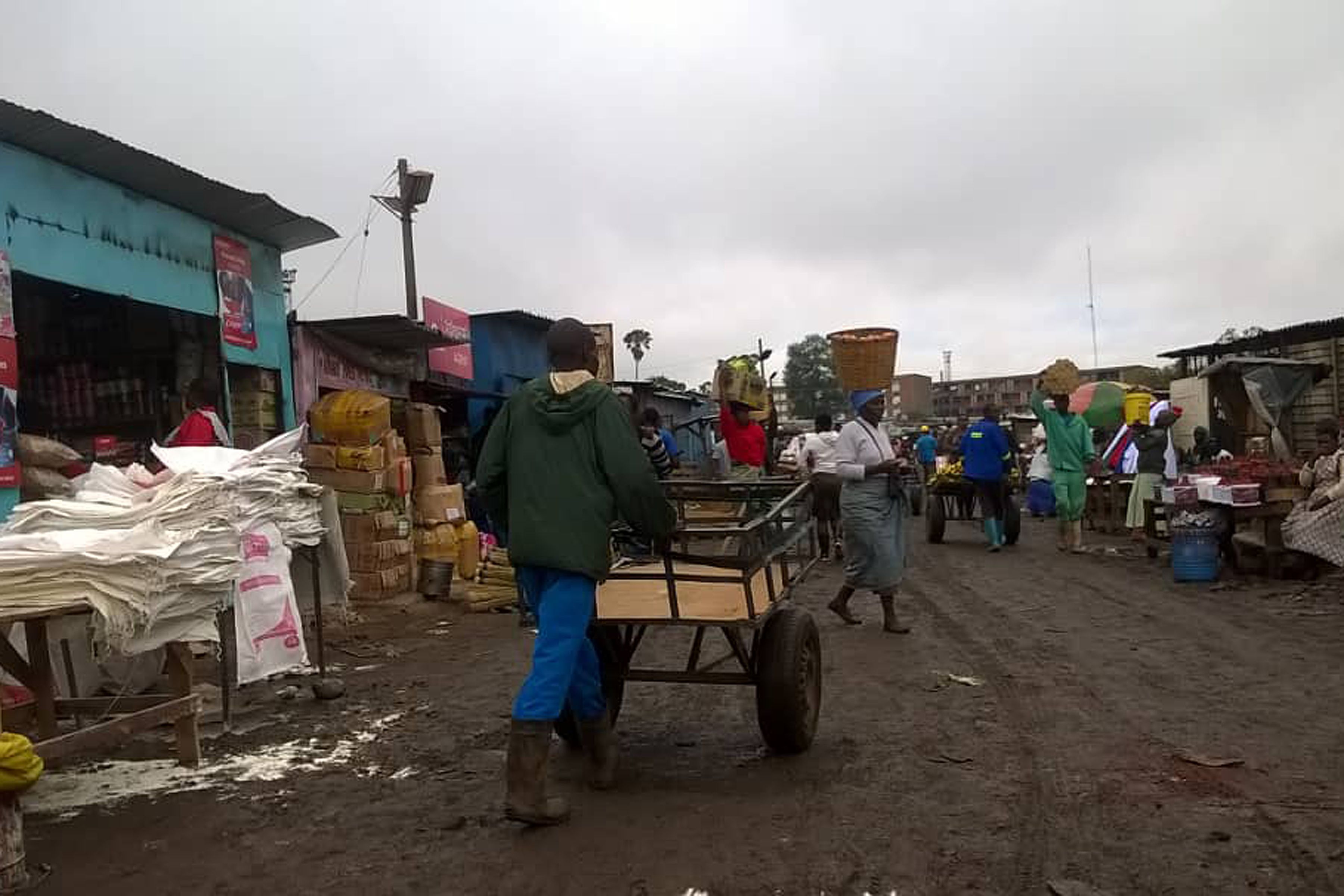 استقرار الأعمال اليومية فى زيمبابوى رغم تحركات الجيش