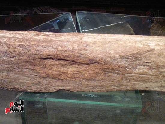 الآثار قدم المسيح على حجر