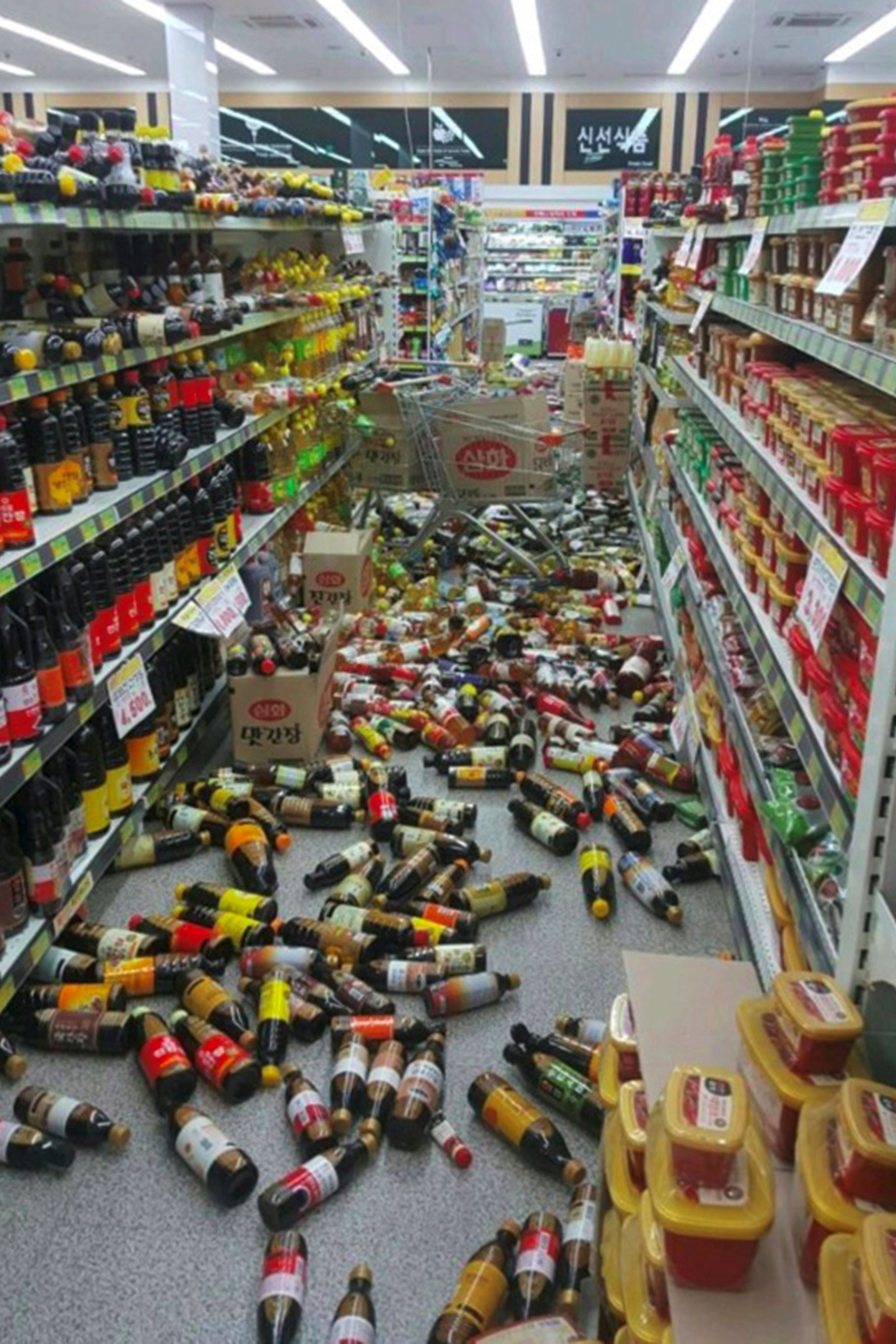 فوضى فى أحد المتاجر بسبب زلزال كوريا الجنوبية