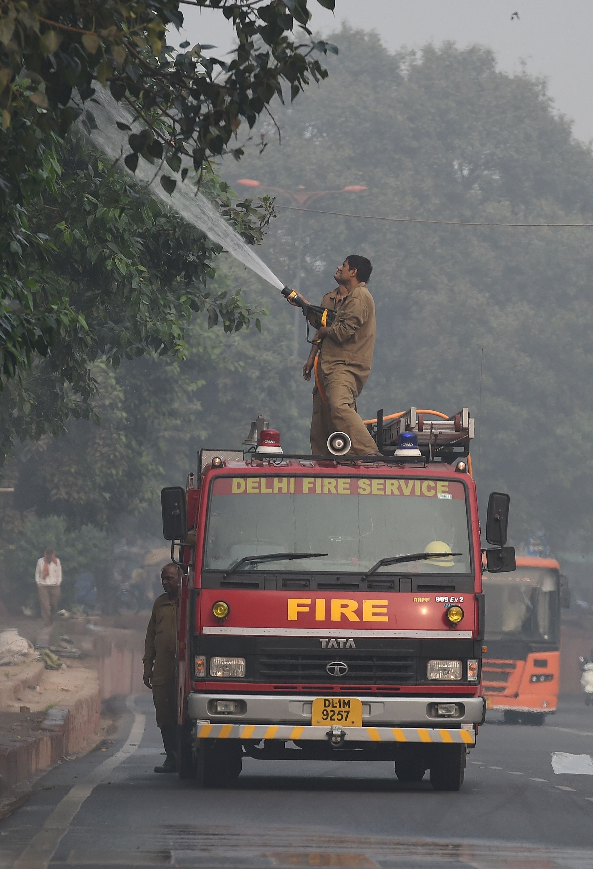 قوات الدفاع المدنى الهندية تقوم بتنظيف الأشجار