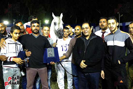 مسابقة جمال الخيول العربية (4)