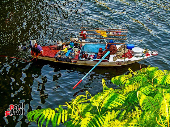 صورة-اليوم صورة-اليوم