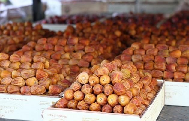 42129-تمور 42129-تمور