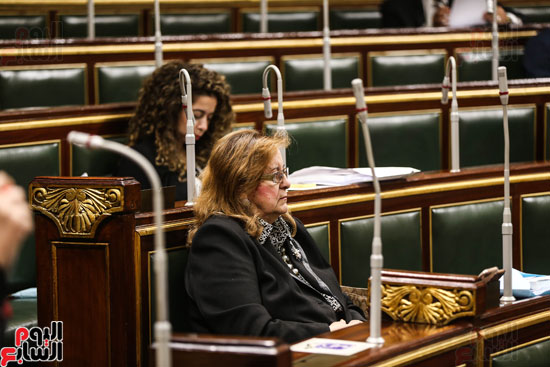 صور جلسة البرلمان (17)