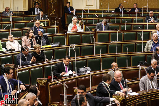 صور جلسة البرلمان (18)