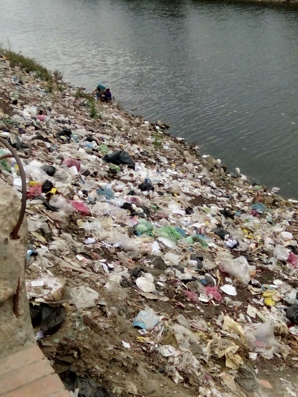 تراكم القمامة على ضفاف النيل