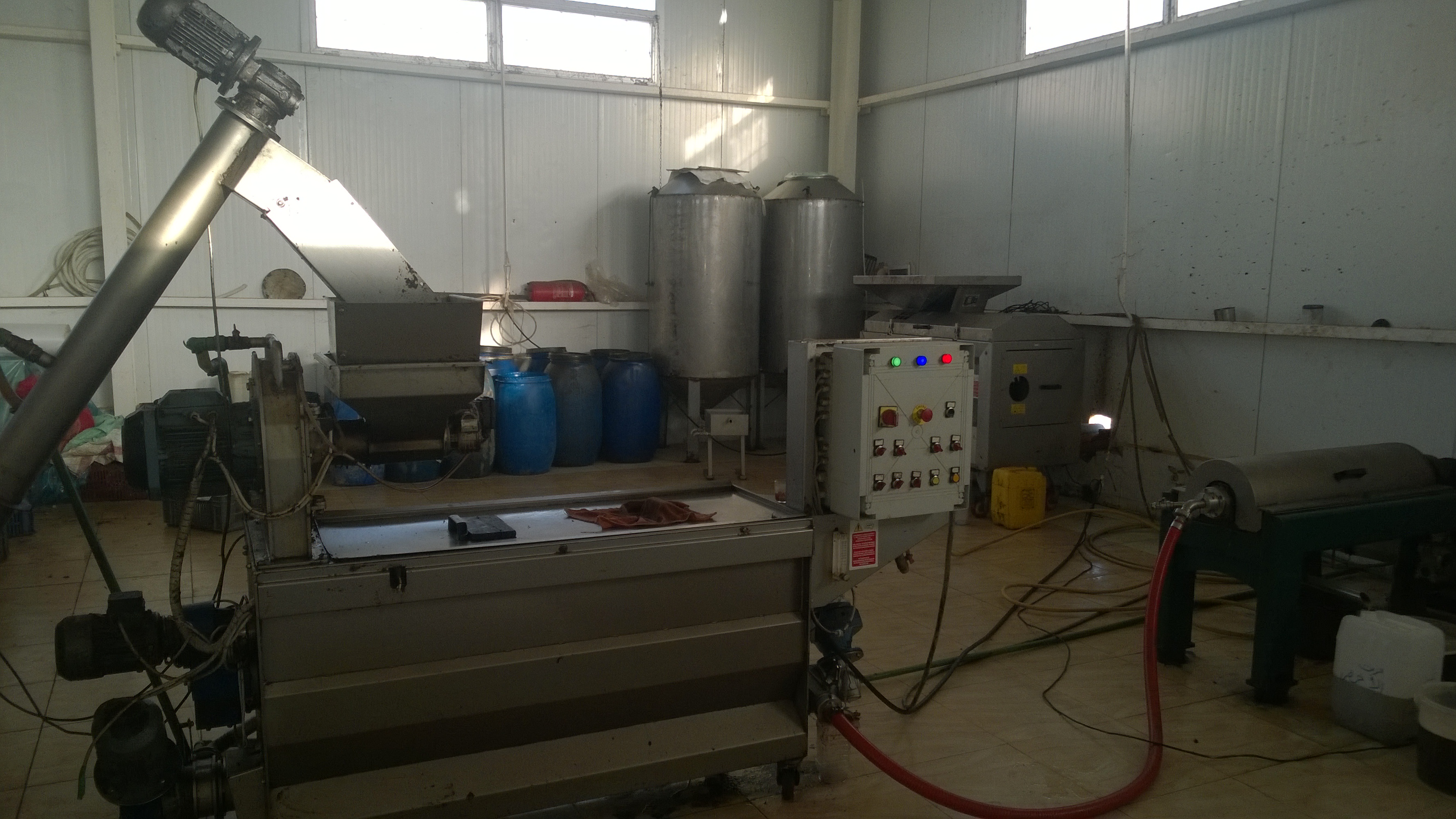 اليوم السابع داخل أول مصنع لتصنيع الزيتون بالمنطقة الحدودية الغربية (1)