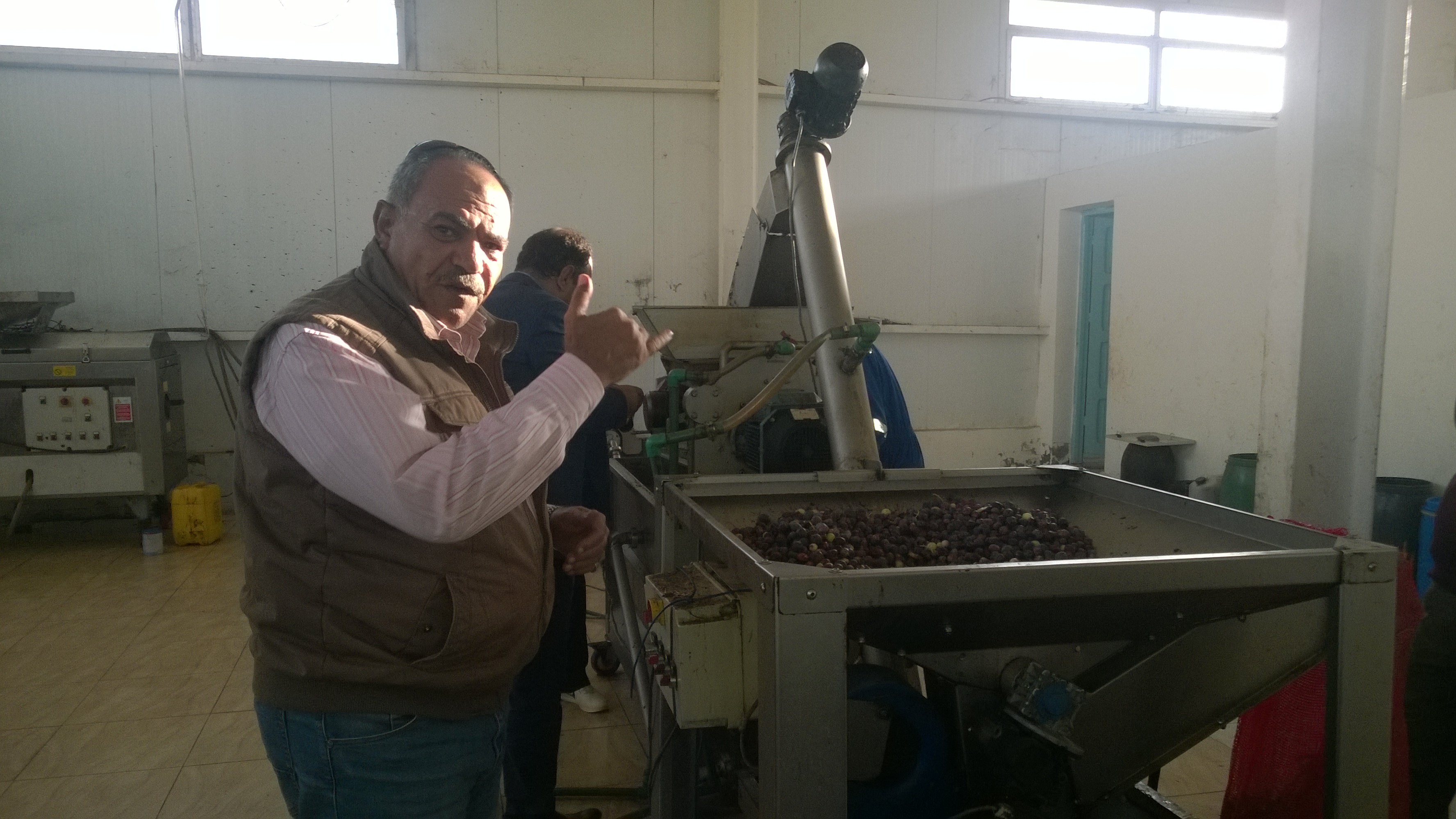 اليوم السابع داخل أول مصنع لتصنيع الزيتون بالمنطقة الحدودية الغربية (12)