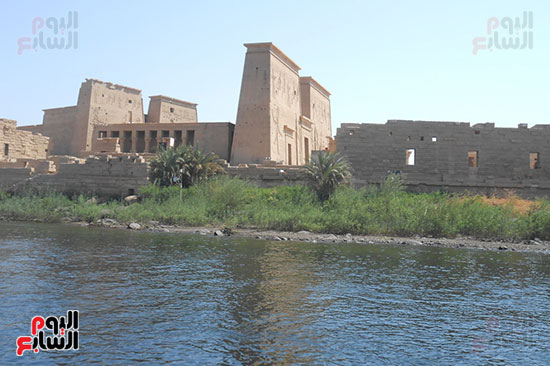 معبد فيله وسط النيل  