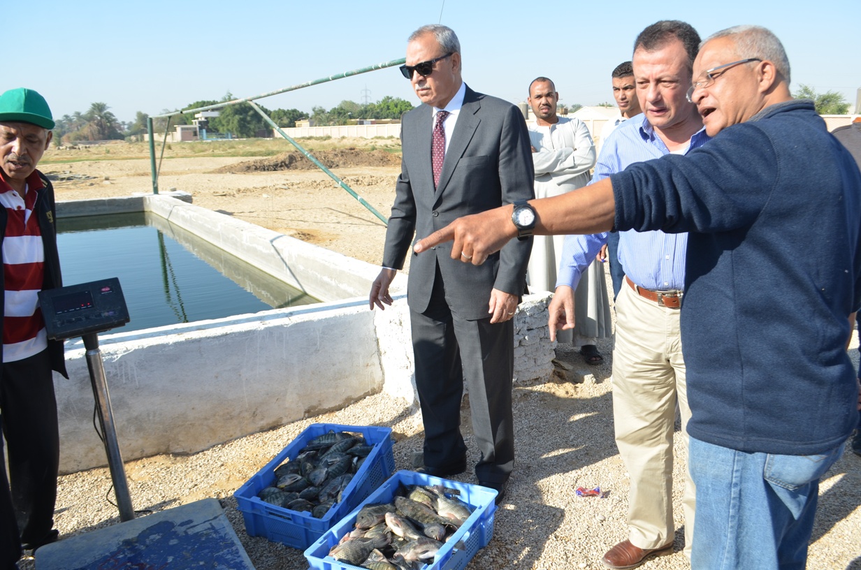 توزيع 1000 كيلو من أسماك المزرعة السمكية (6)