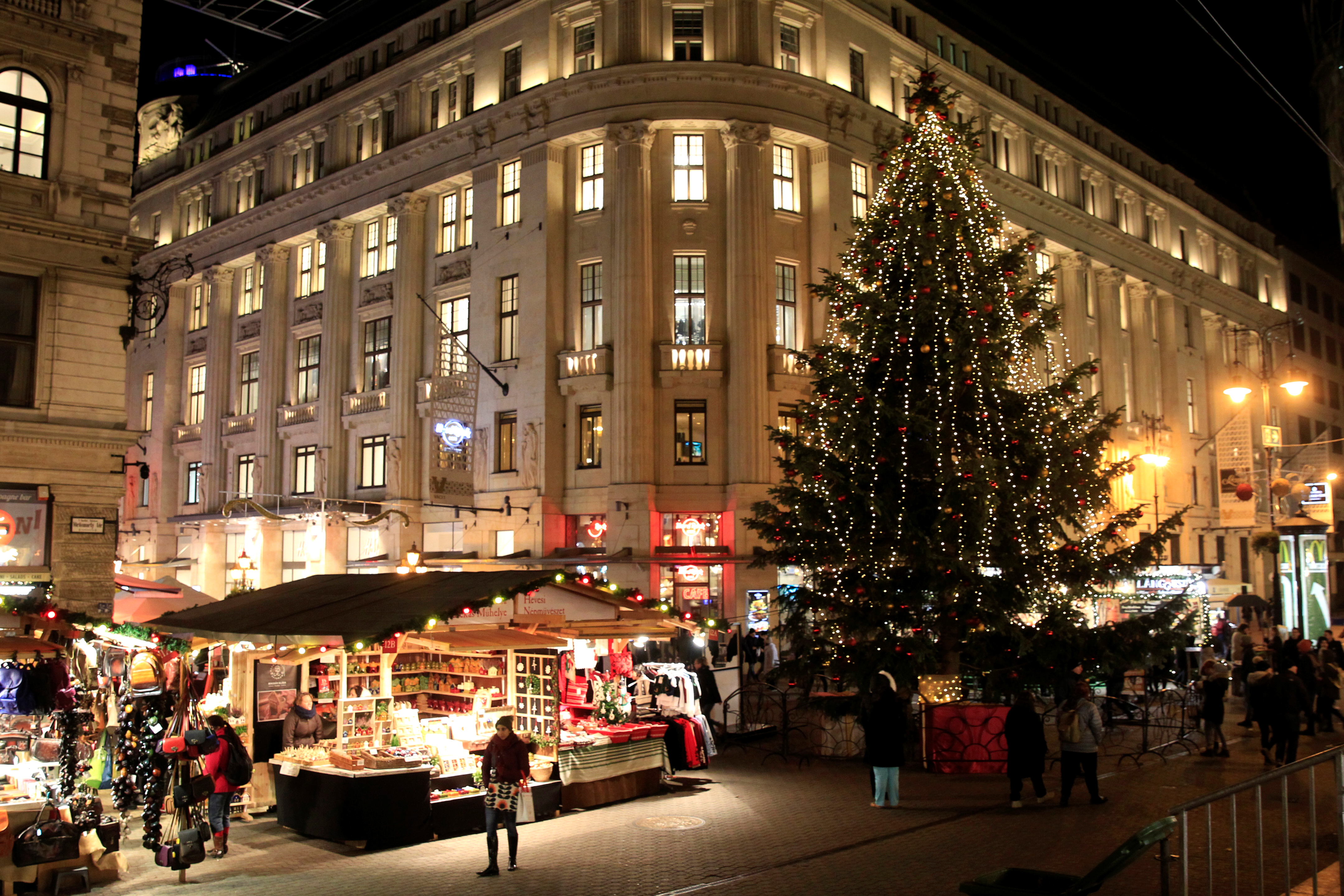 جانب من الاستعداد للاحتفال