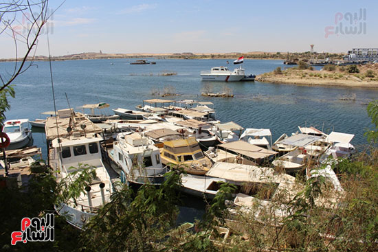 الثروة السمكية فى بحيرة ناصر