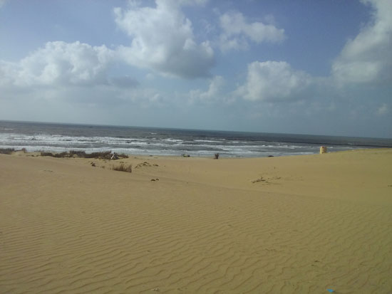 منظر جمالى الرمال السوداء ملاصقة لشاطئ البحر
