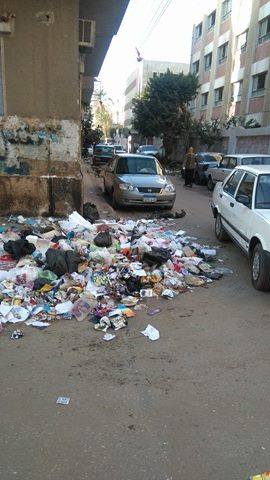 القمامة فى الشارع القمامة فى الشارع