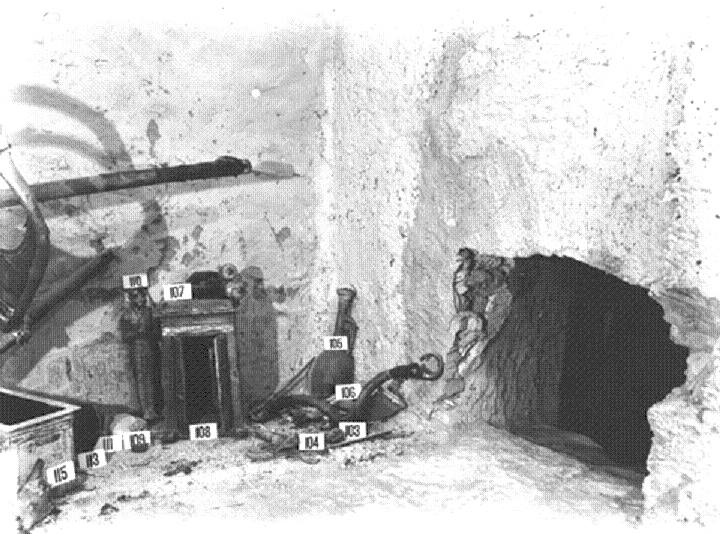 كنوز مقبرة توت عنخ امون التريخية (3)