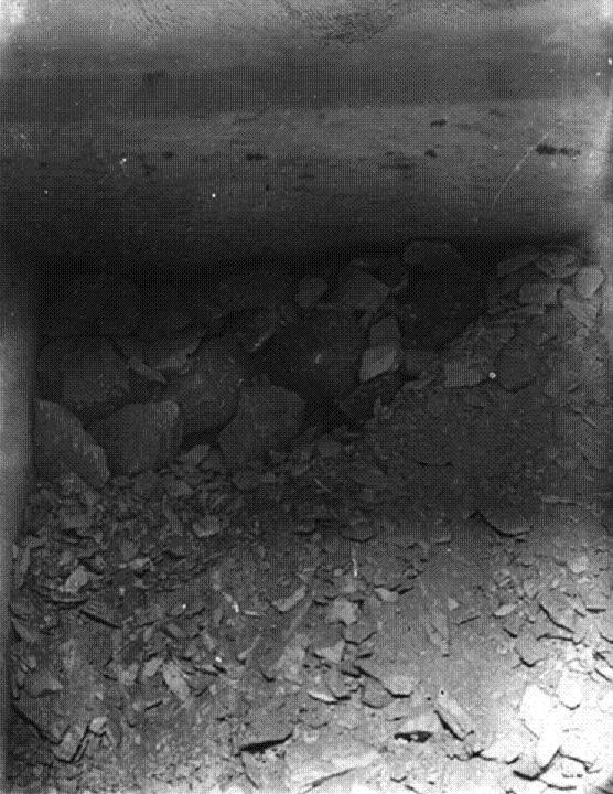 كنوز مقبرة توت عنخ امون التريخية (11)