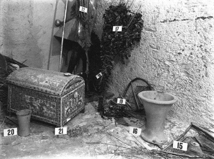 كنوز مقبرة توت عنخ امون التريخية (12)