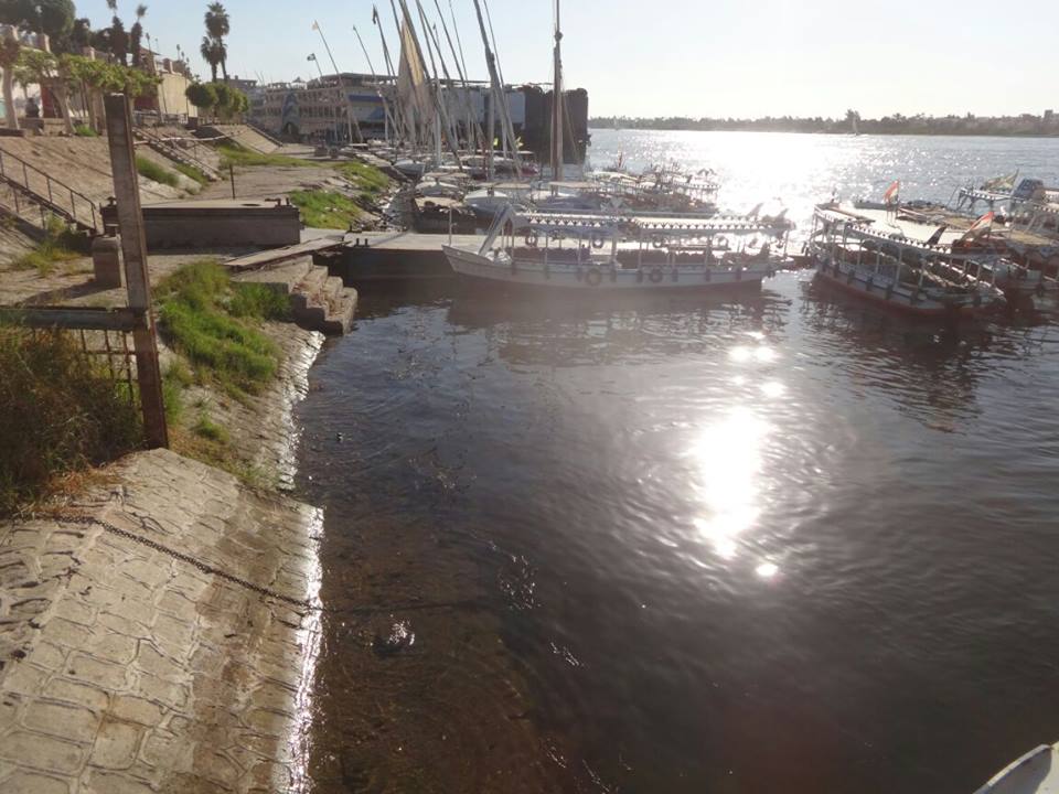 لجنة من مدينة الأقصر تبدأ حملة تنظيف نهر النيل