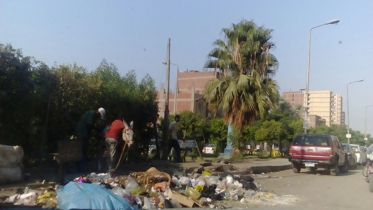 انتشار القمامة والمقاهى العشوائية والباعة الجائلين بشوارع المرج (18)