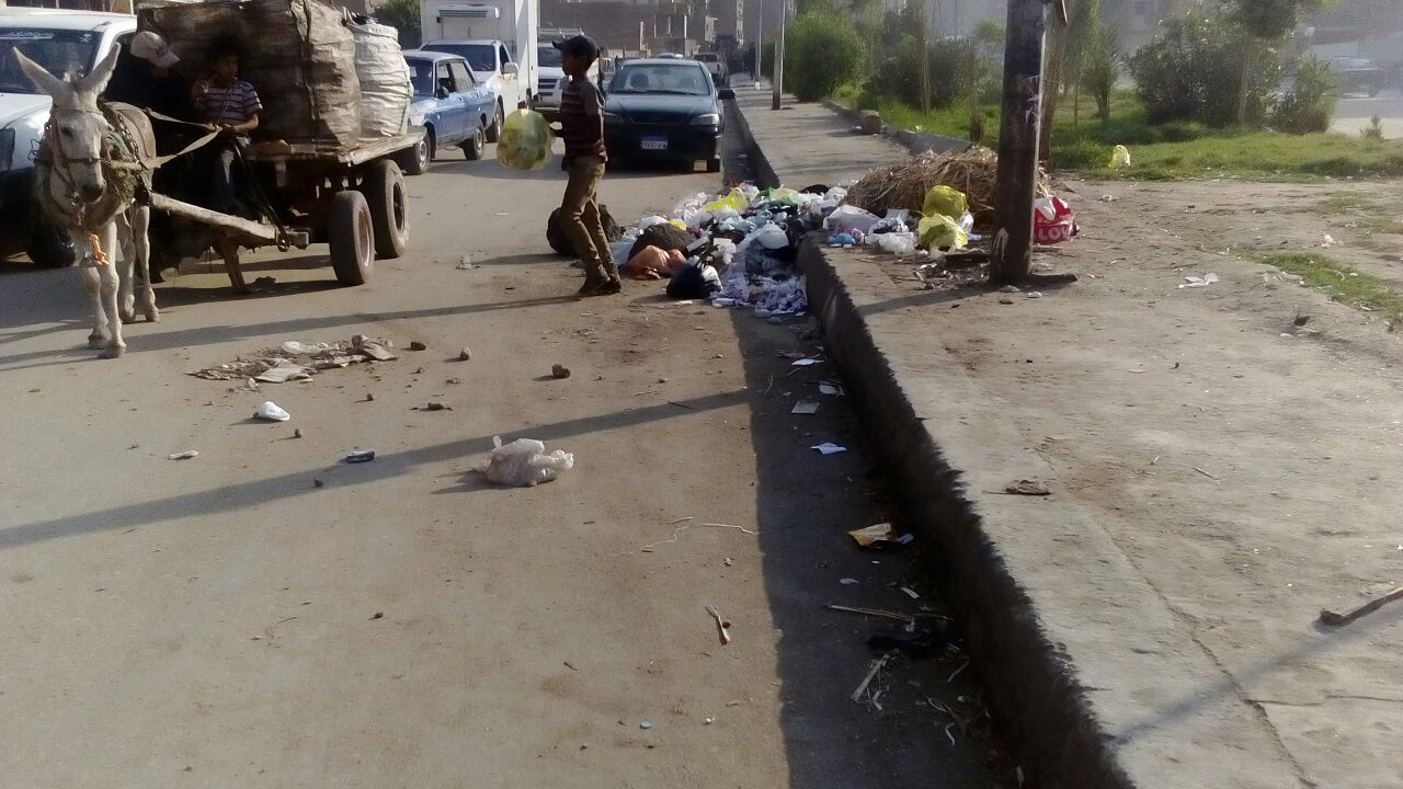 انتشار القمامة والمقاهى العشوائية والباعة الجائلين بشوارع المرج (29)