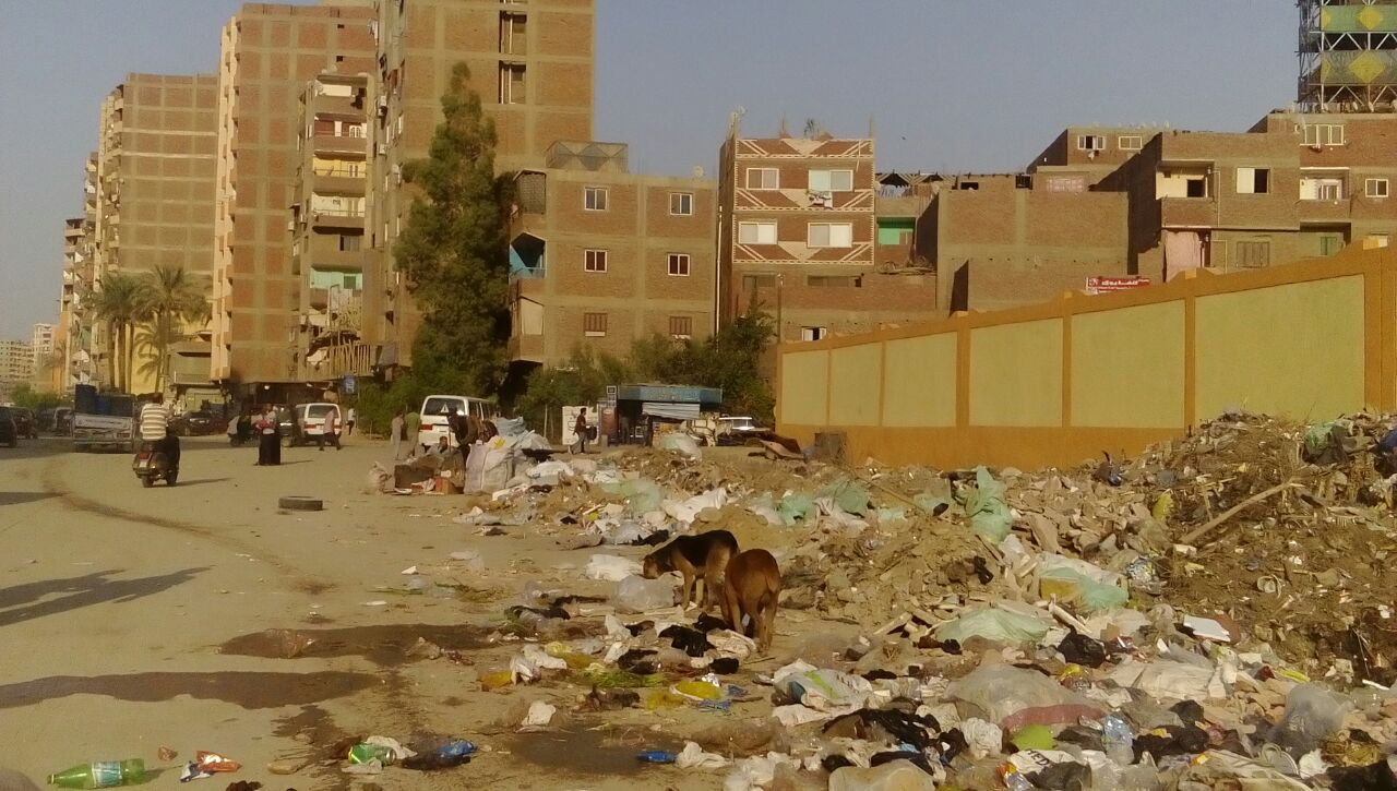 انتشار القمامة والمقاهى العشوائية والباعة الجائلين بشوارع المرج (31)