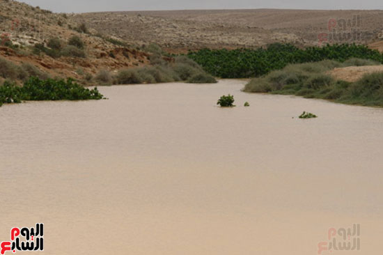  تجمع مياه الأمطار خلف السدود فى وديان صحراء مطروح
