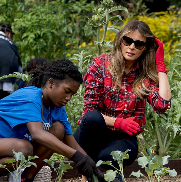 طفلة تعاون ميلانيا فى زراعة بستان البيت الأبيض