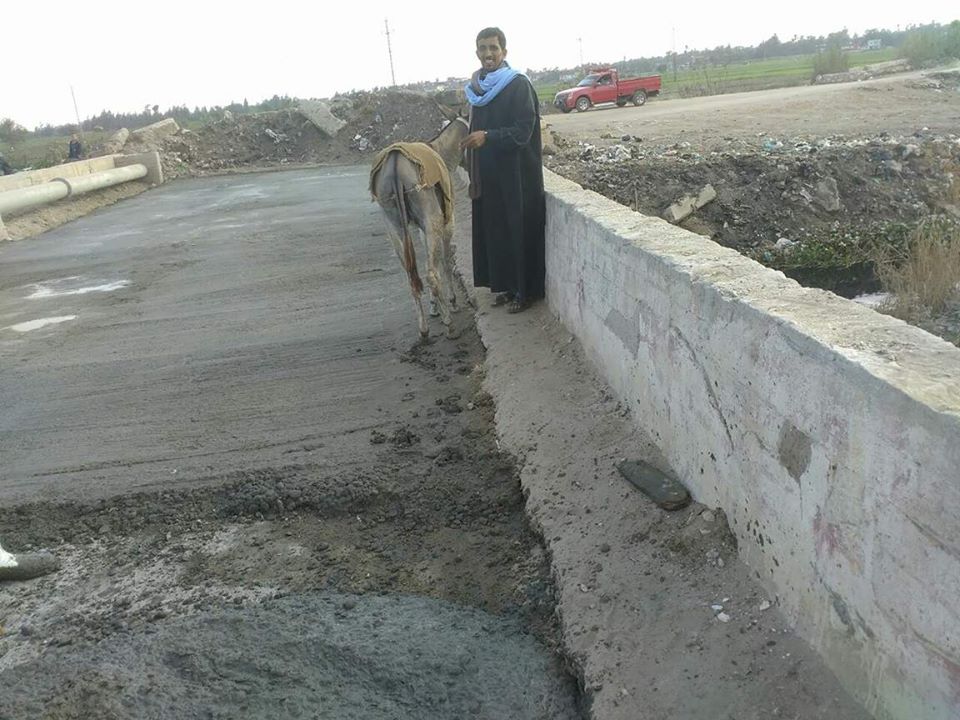   اللجنة تشكو من مرور حمار فوق الصبة